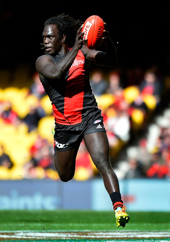AFL 2016 Rd 21 - Essendon v Gold Coast MELBOURNE, AUSTRALIA - AUGUST 14: Anthony McDonald-Tipungwuti of the Bombers in action during the 2016 AFL Round 21 match between the Essendon Bombers and the Gold Coast Suns at Etihad Stadium on August 14, 2016 in Melbourne, Australia. (Photo by Dylan Burns/AFL Media)